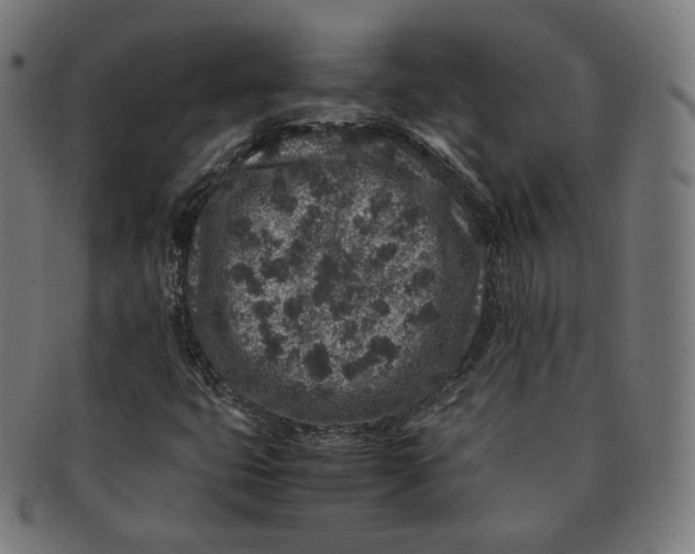 X0000090991399200708241415