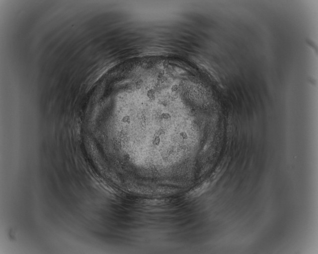 X0000090991401200708241415