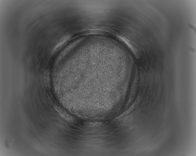 X0000090991403200708241415