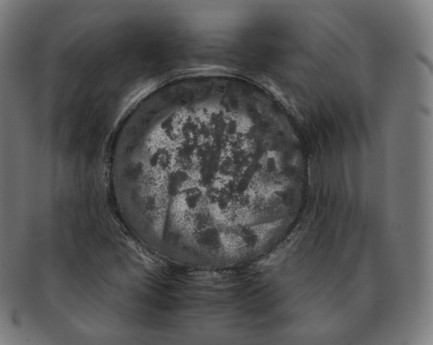 X0000090991405200708241415