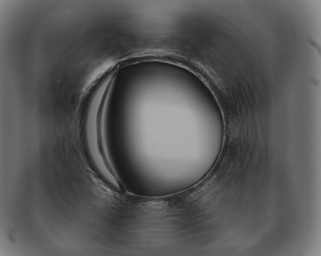 X0000090991406200708241415