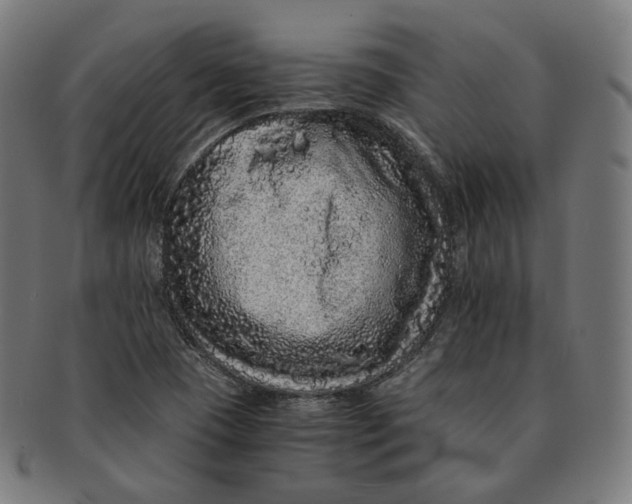 X0000090991409200708241415