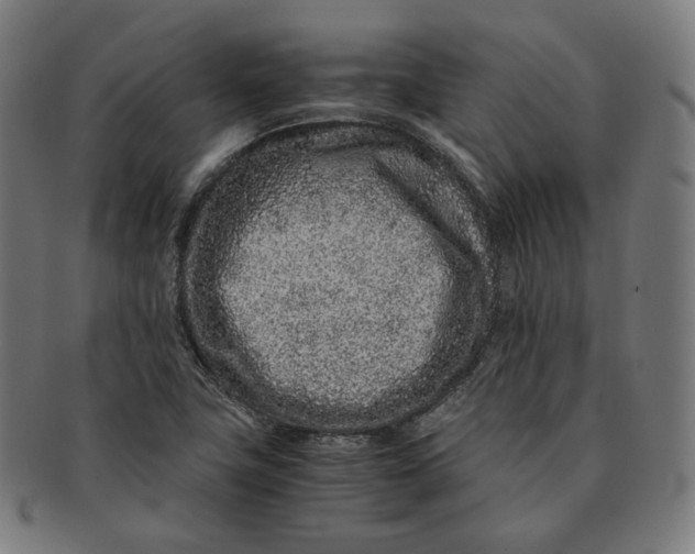 X0000090991411200708241415