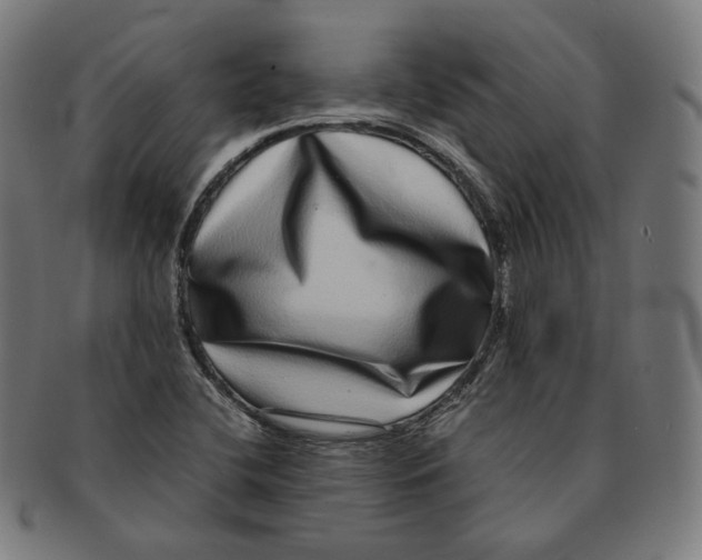 X0000090991412200708241415