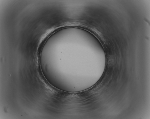 X0000090991414200708241415