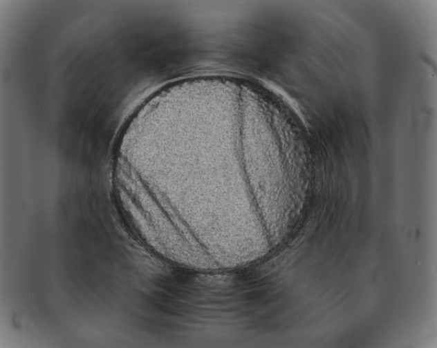 X0000090991415200708241415