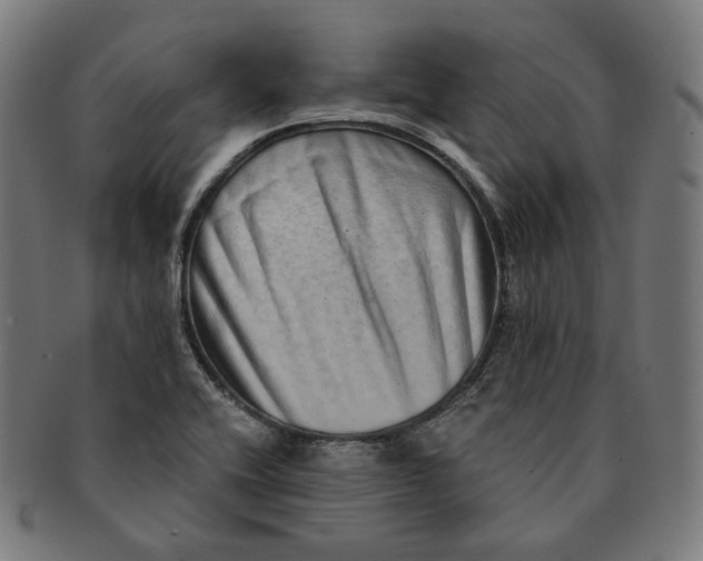 X0000090991416200708241415