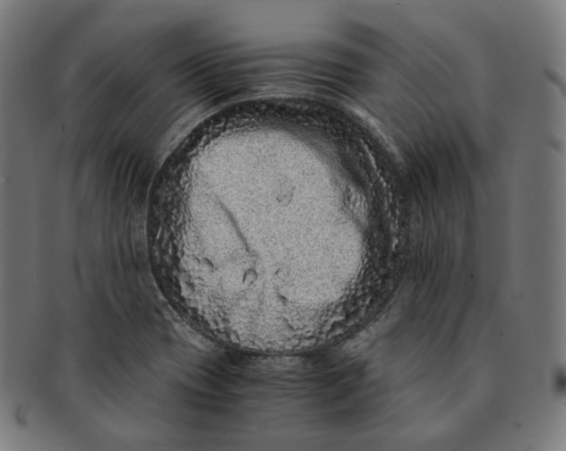 X0000090991417200708241415