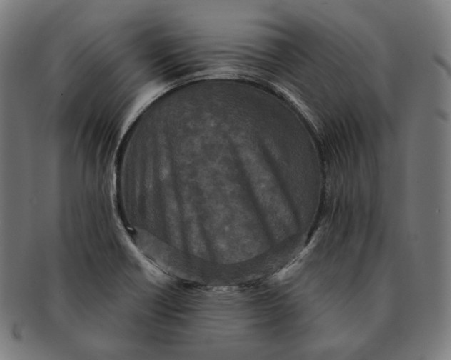 X0000090991418200708241415