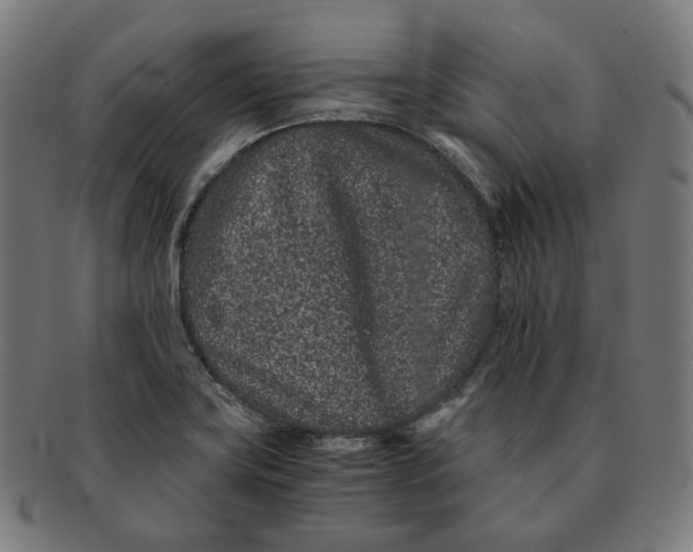 X0000090991419200708241415