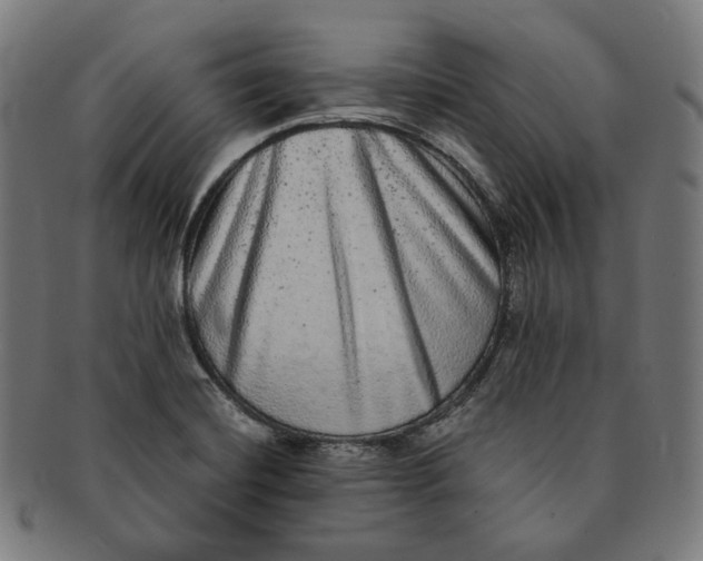 X0000090991420200708241415