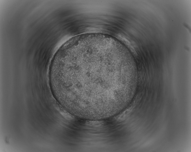 X0000090991427200708241416