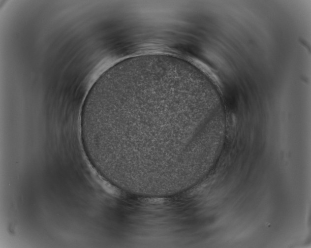 X0000090991431200708241416