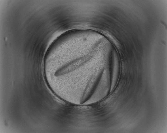 X0000090991432200708241416