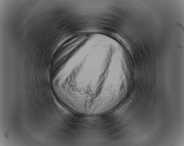 X0000090991433200708241416