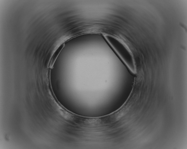 X0000090991434200708241416