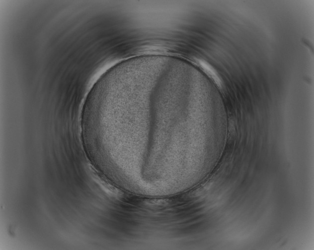 X0000090991435200708241416