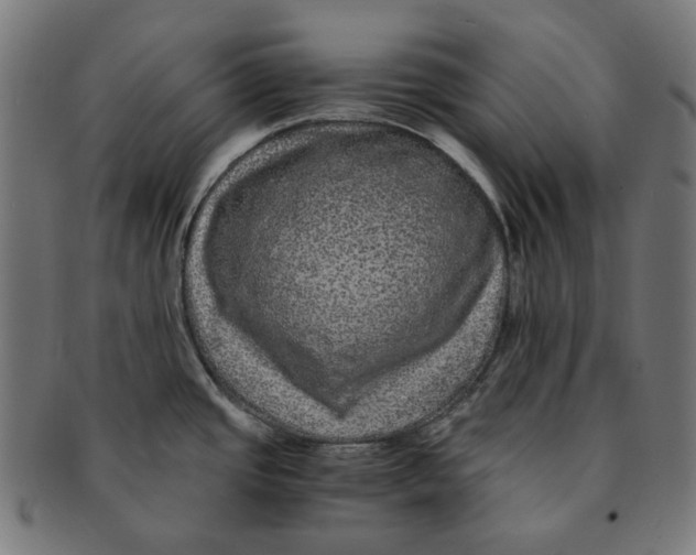 X0000090991437200708241416