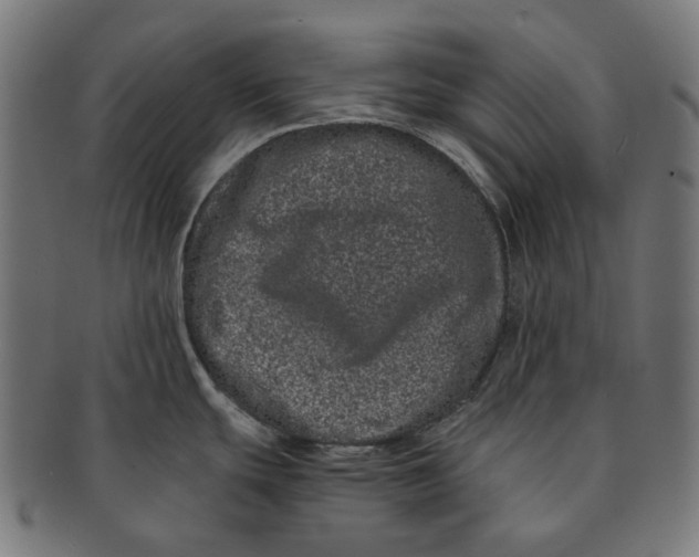 X0000090991439200708241416