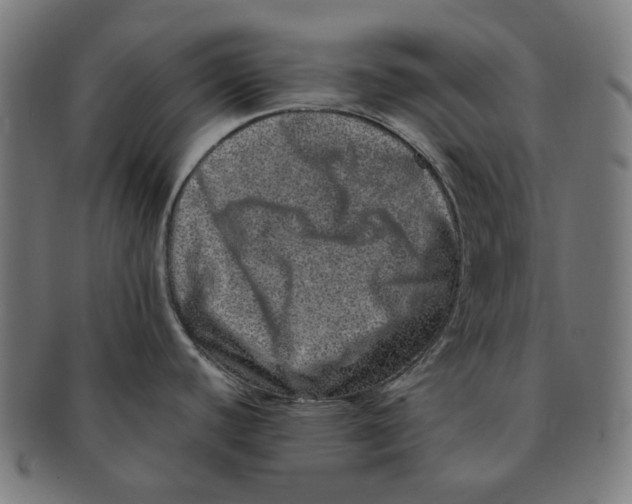 X0000090991440200708241416