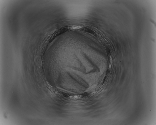 X0000090991441200708241415