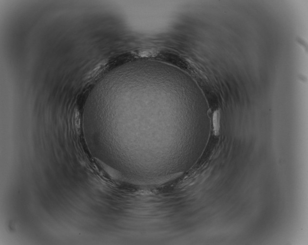 X0000090991443200708241415