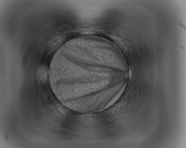 X0000090991444200708241415