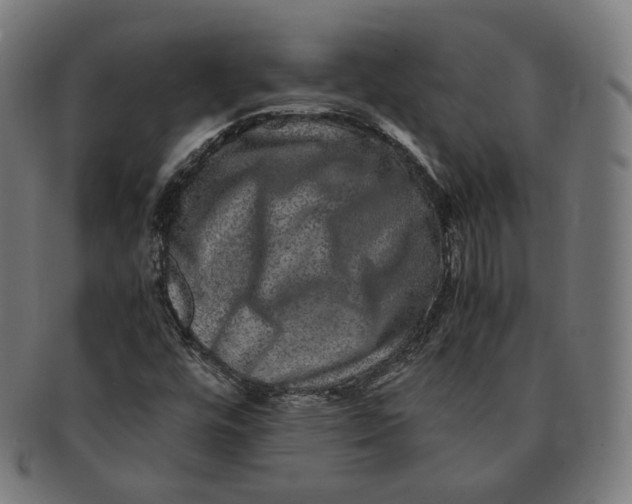 X0000090991448200708241415