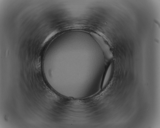 X0000090991450200708241415