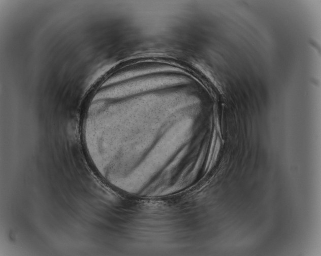 X0000090991452200708241415