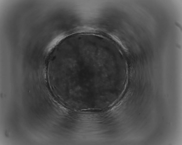 X0000090991455200708241415