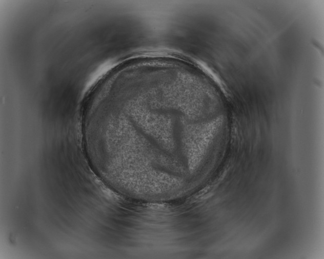 X0000090991456200708241415