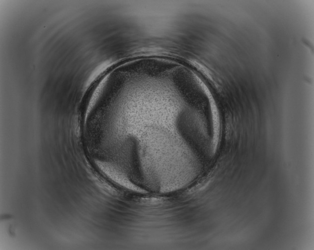 X0000090991458200708241415