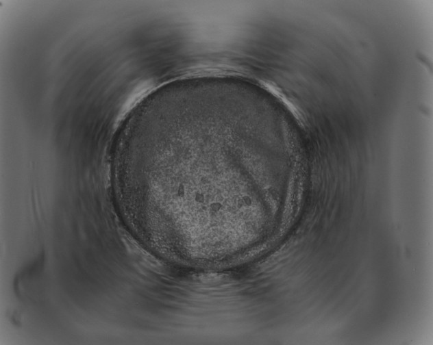 X0000090991459200708241415