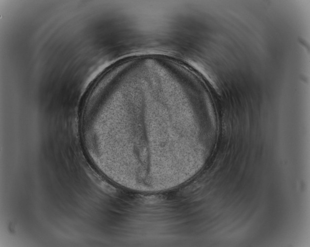 X0000090991460200708241415