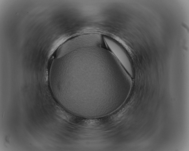 X0000090991461200708241415