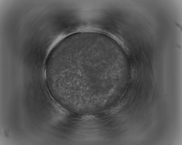 X0000090991462200708241415