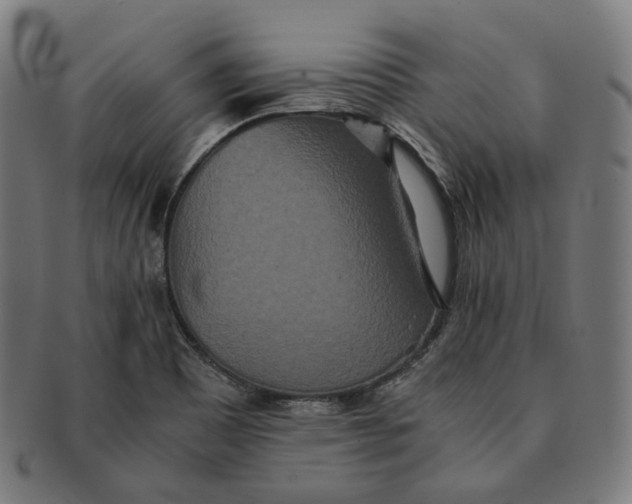 X0000090991465200708241415