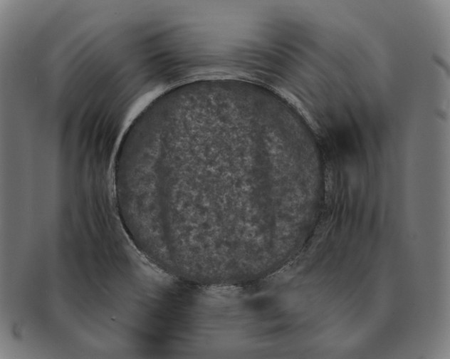 X0000090991466200708241415