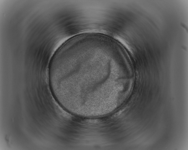 X0000090991468200708241415