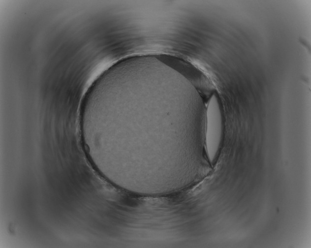 X0000090991469200708241415