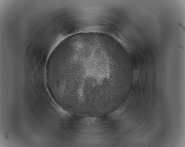 X0000090991470200708241415