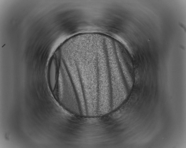 X0000090991472200708241415