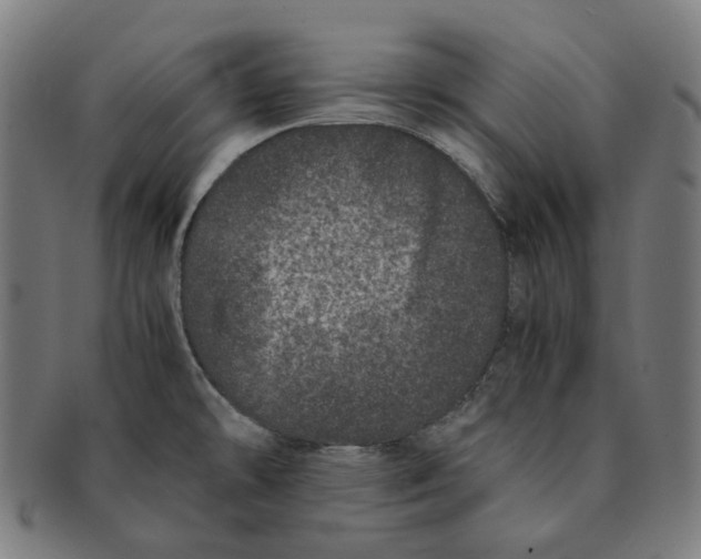 X0000090991478200708241414