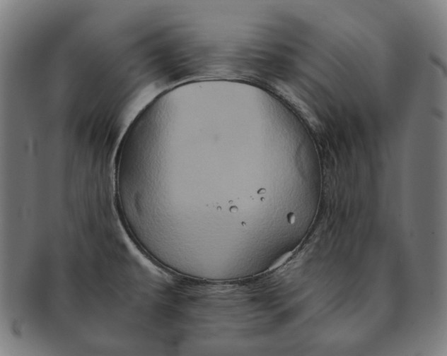 X0000090991479200708241414