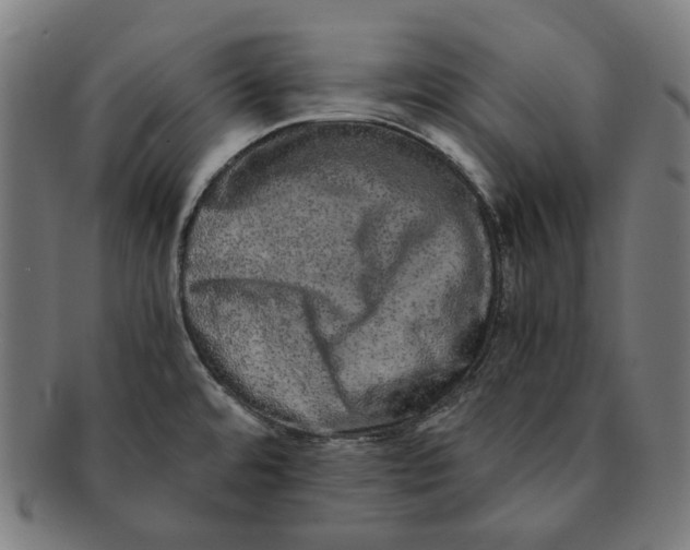 X0000090991480200708241414