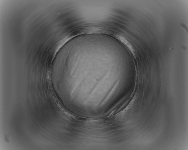 X0000090991481200708241414