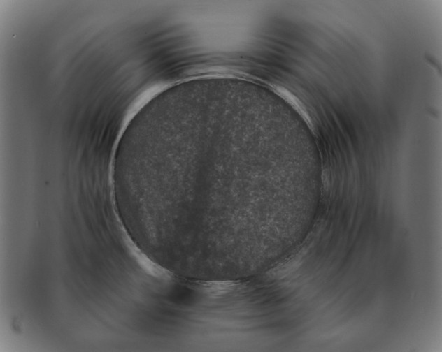 X0000090991482200708241414