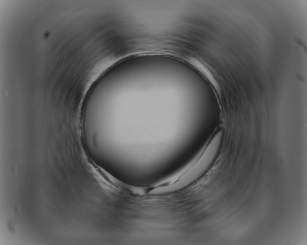 X0000090991485200708241414