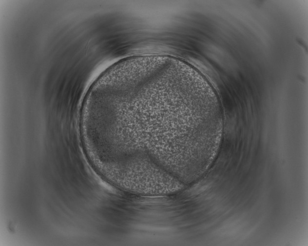 X0000090991486200708241414